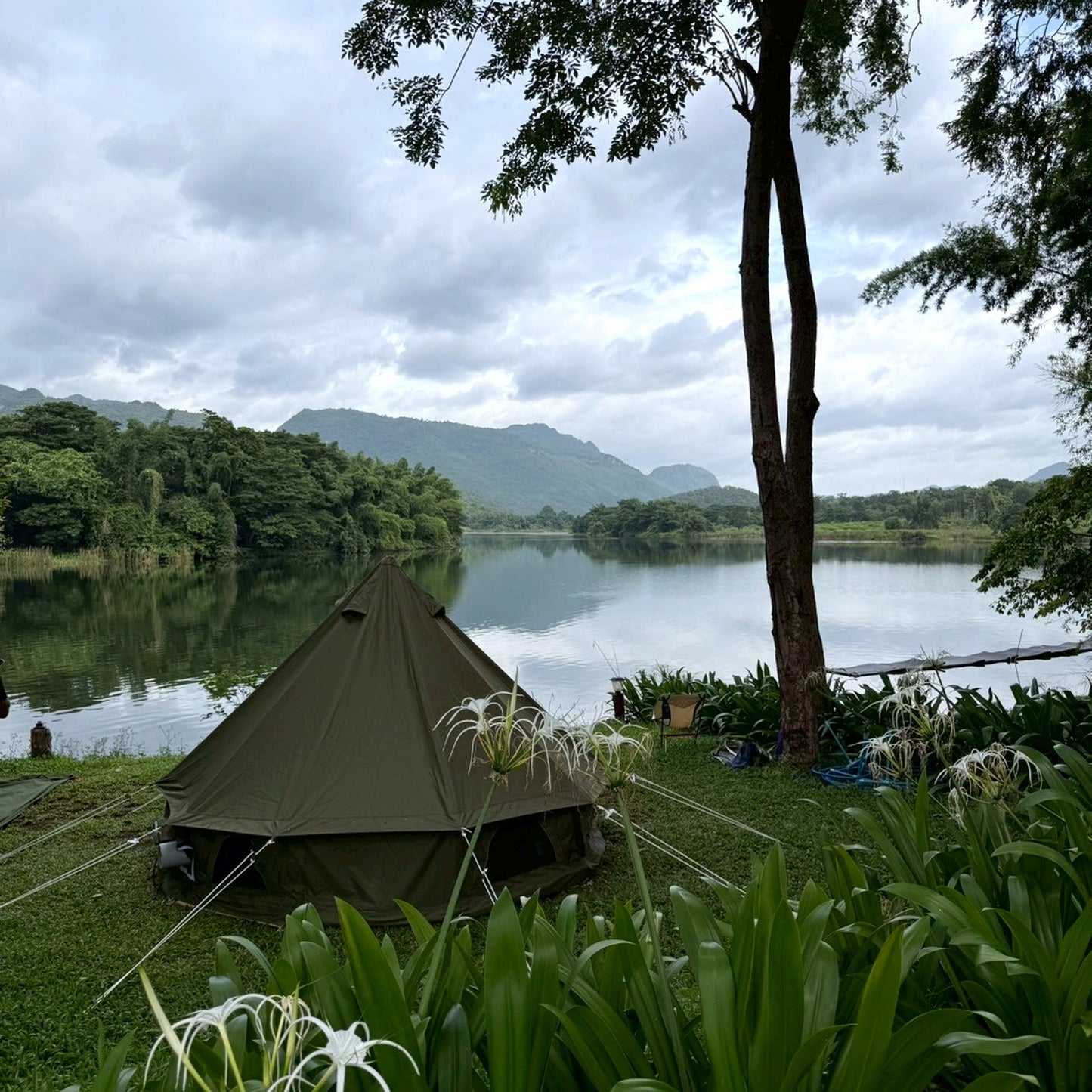 เต็นท์กระโจมสีเขียวธรรมชาติ ไม่มีเสากลาง พื้นที่โล่ง กว้างขวาง ตั้งเตียง/เฟอร์นิเจอร์ได้ - รูปที่ 15