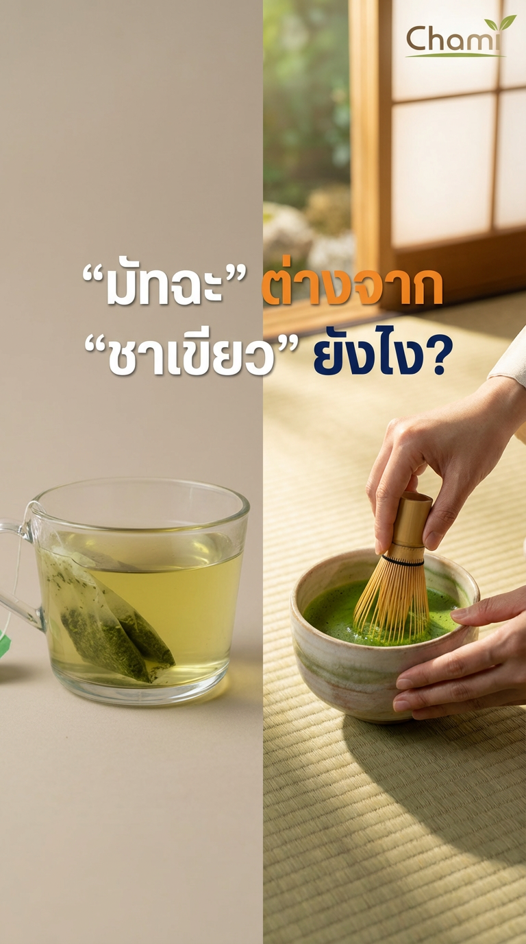 ถอดรหัสความลับมัทฉะ: ทำไม Chami Matcha จึงเหนือกว่าชาเขียวทั่วไป?
