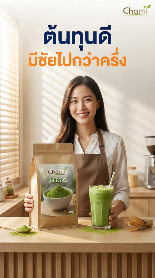 Chami Matcha: เผยความลับแห่งความละมุน 602 vs Original และการชงที่สมบูรณ์แบบ