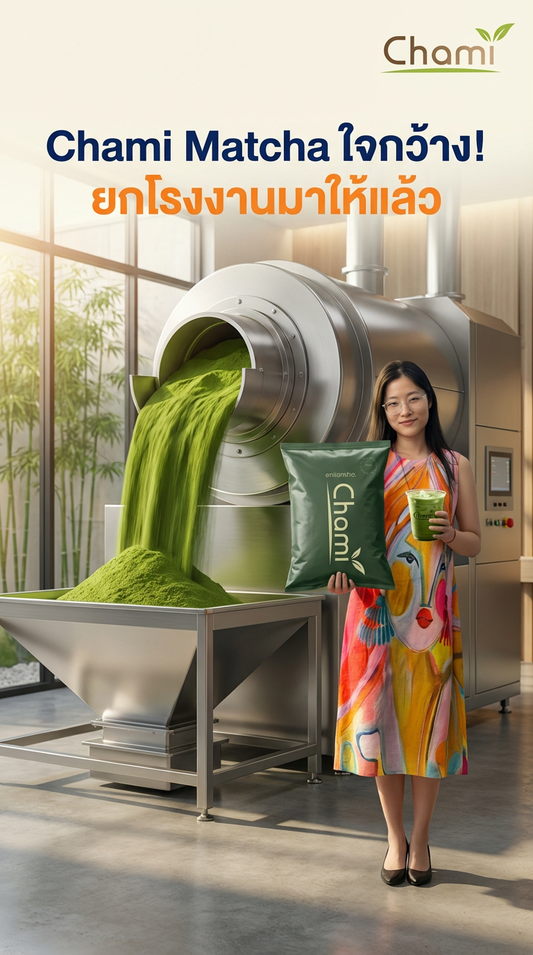 Chami Matcha: ไขความลับมัทฉะเกรด Original และ 602 สู่การชงที่ละมุนละไม