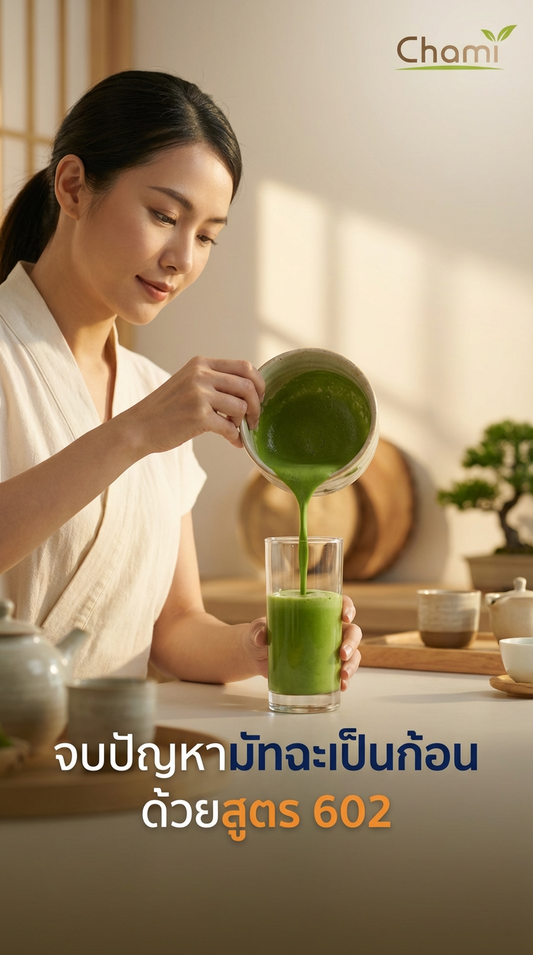 ชามัทฉะละมุนลิ้น ไร้ความขม: เคล็ดลับจาก Chami Matcha สู่ประสบการณ์ญี่ปุ่นแท้