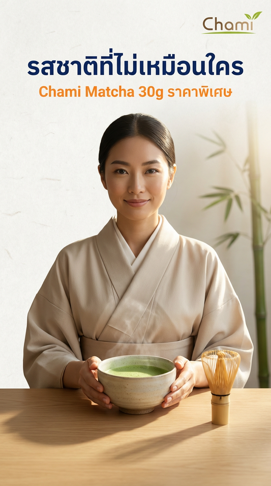 มัทฉะ 602 vs Original: สัมผัสความละมุนแท้ และเคล็ดลับวิธีชงชาเขียว Chami Matcha ให้สมบูรณ์แบบ