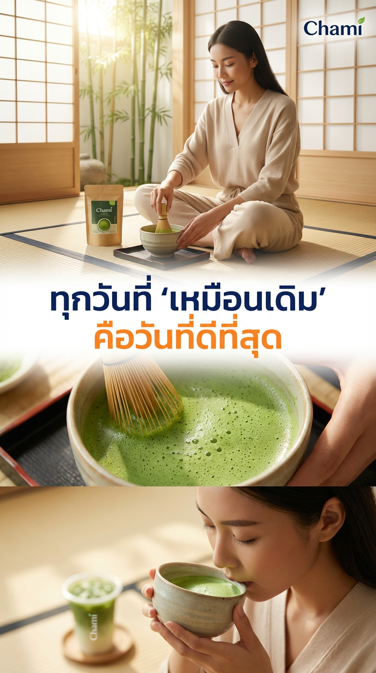 ชามัทฉะในทุกวัน: ไขความลับความละมุนและวิธีชงที่สมบูรณ์แบบ