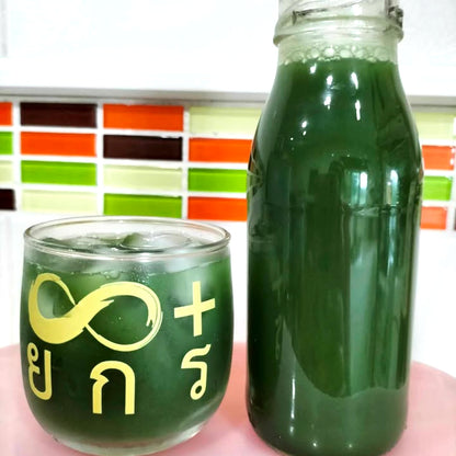 Chami Matcha มัทฉะผงแท้ 100% ราคาโรงงาน
