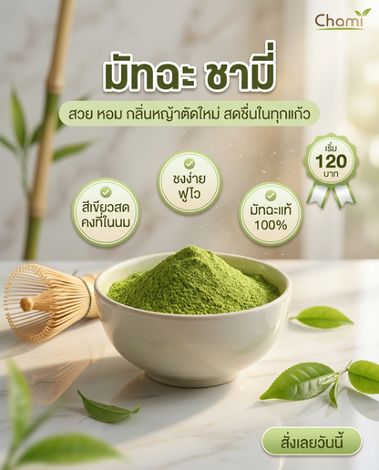 Chami Matcha มัทฉะผงแท้ 100% ราคาโรงงาน มาตรฐาน จัดส่งฟรี - วิมานแอร์ Wiman Air [matcha13]